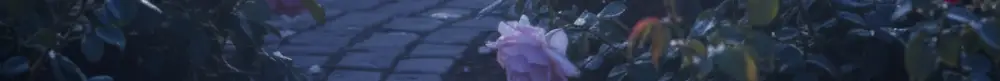 [생머리 코팅] 프롬랩스 단백질 흡착 노워시 트리트먼트 스프레이 150ml (열&자외선 보호) 상세페이지 22